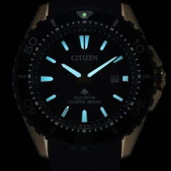 Citizen | Promaster Diver Blue Dial Watch | BN0196-01L