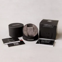 Citizen | Silver Patterned Dial Two Tone Watch | EM0506-77A