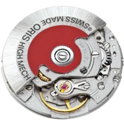 ORIS – Aquis Date Relief Bezel Red Dial Watch 01 733 7766 4158-07 8 22 05PEB