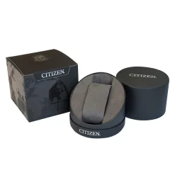 Citizen | Silver Patterned Dial Bracelet Watch | EM0500-73A